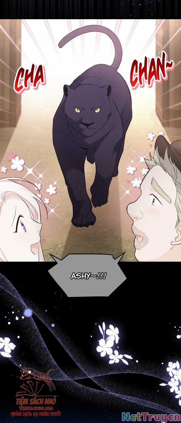 Quan Hệ Cộng Sinh Giữa Hắc Báo Và Bạch Thỏ Chapter 50 trang 5