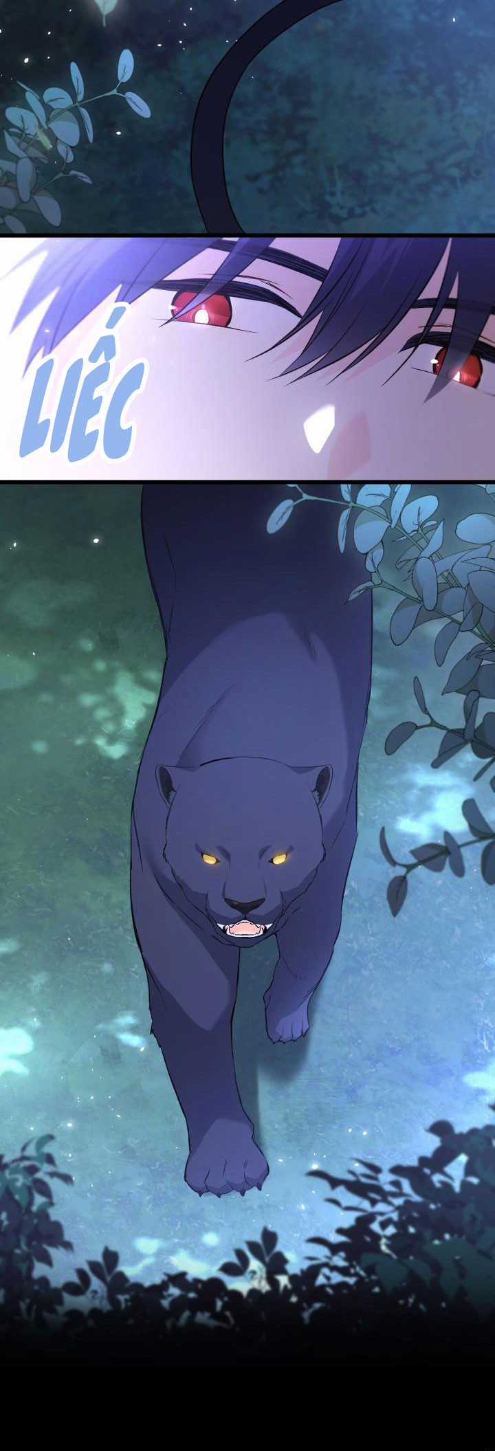 Quan Hệ Cộng Sinh Giữa Hắc Báo Và Bạch Thỏ Chapter 51 trang 9