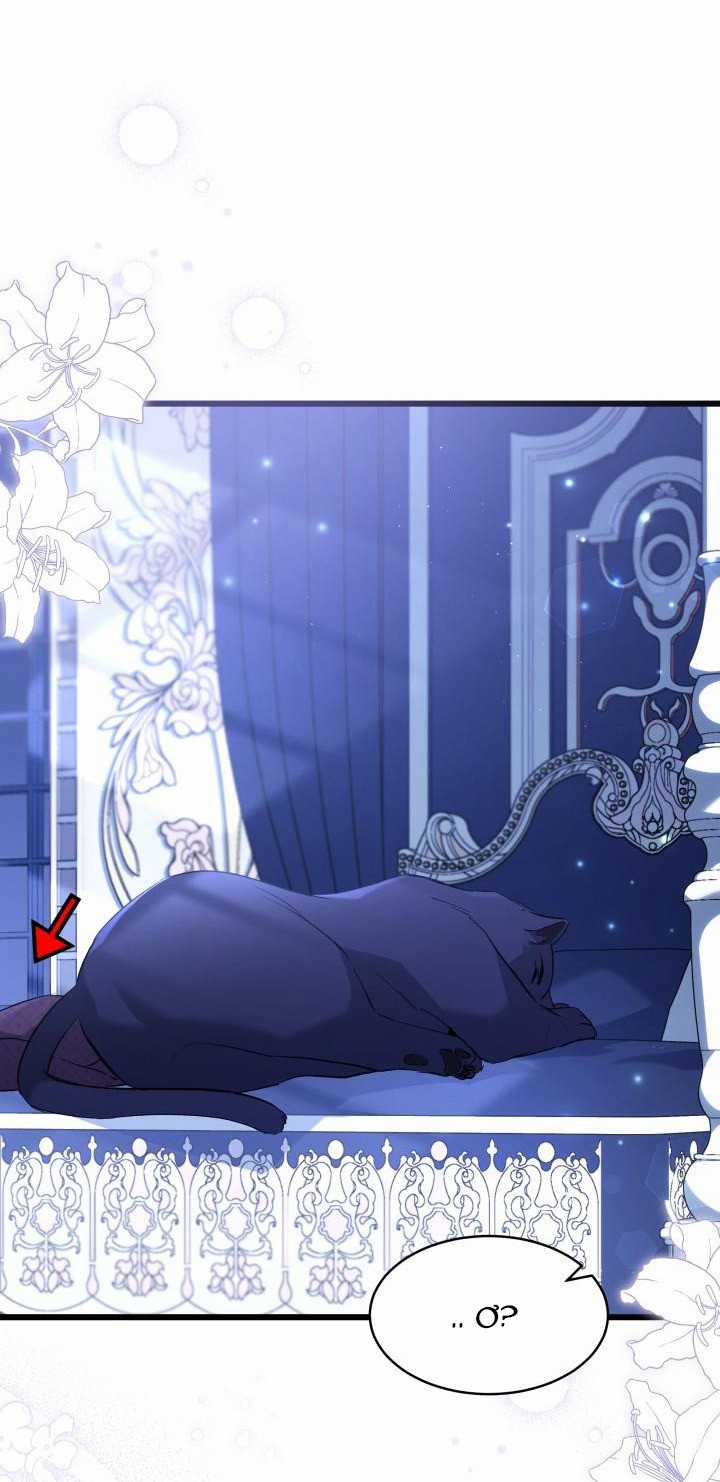 Quan Hệ Cộng Sinh Giữa Hắc Báo Và Bạch Thỏ Chapter 54 trang 13