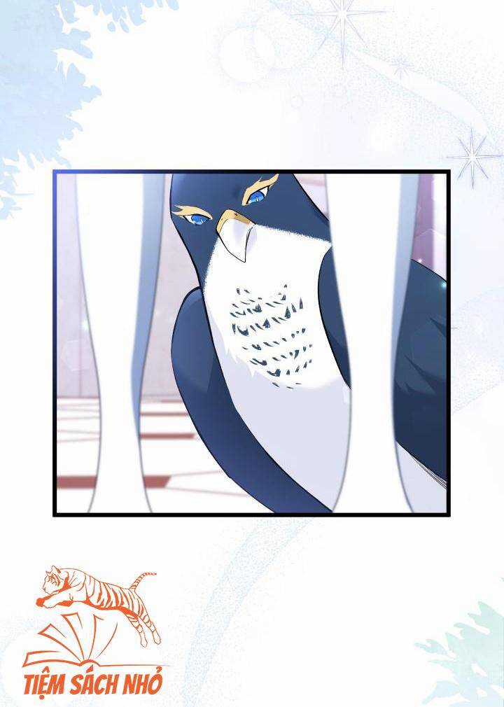 Quan Hệ Cộng Sinh Giữa Hắc Báo Và Bạch Thỏ Chapter 57 trang 16