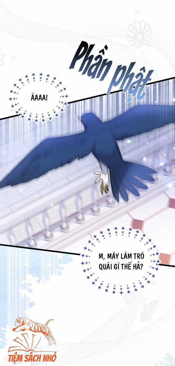 Quan Hệ Cộng Sinh Giữa Hắc Báo Và Bạch Thỏ Chapter 57 trang 19