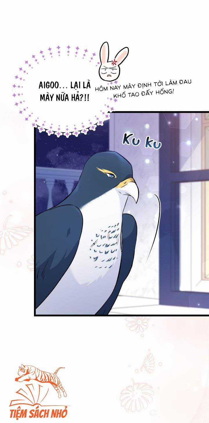 Quan Hệ Cộng Sinh Giữa Hắc Báo Và Bạch Thỏ Chapter 57 trang 6