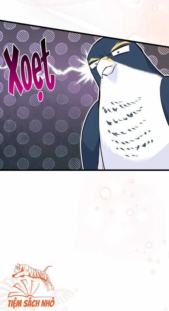 Quan Hệ Cộng Sinh Giữa Hắc Báo Và Bạch Thỏ Chapter 57 trang 8