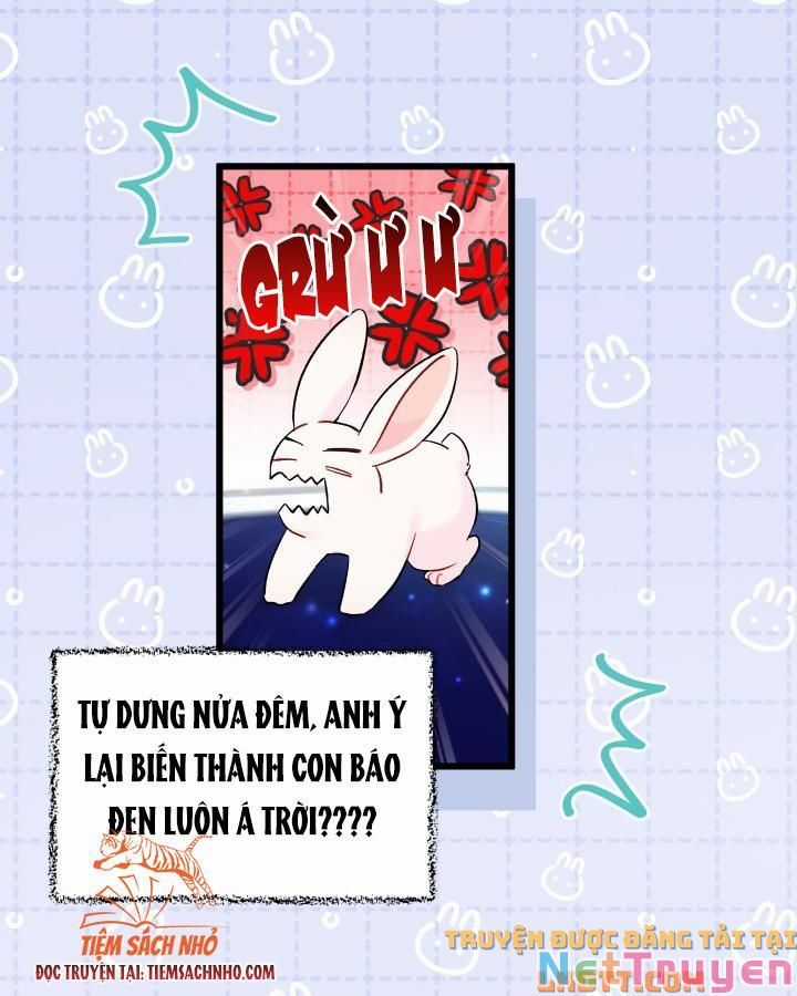 Quan Hệ Cộng Sinh Giữa Hắc Báo Và Bạch Thỏ Chapter 58 trang 23