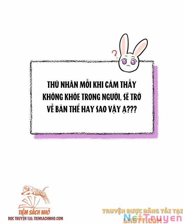 Quan Hệ Cộng Sinh Giữa Hắc Báo Và Bạch Thỏ Chapter 58 trang 25