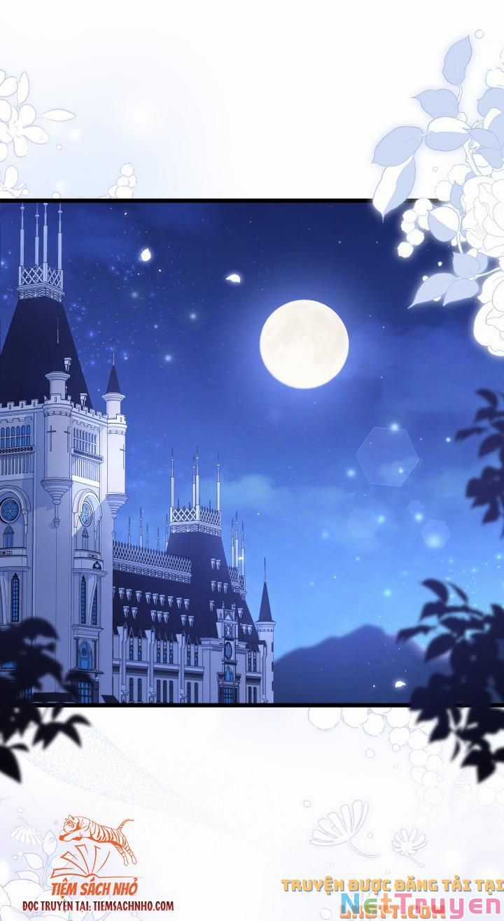 Quan Hệ Cộng Sinh Giữa Hắc Báo Và Bạch Thỏ Chapter 58 trang 31