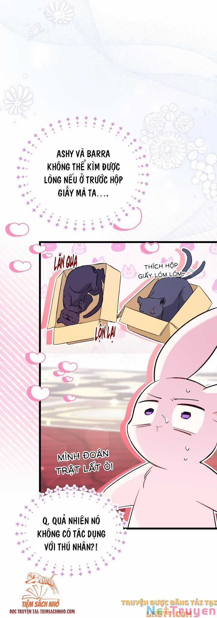 Quan Hệ Cộng Sinh Giữa Hắc Báo Và Bạch Thỏ Chapter 58 trang 34