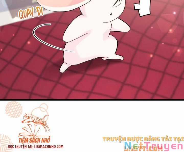 Quan Hệ Cộng Sinh Giữa Hắc Báo Và Bạch Thỏ Chapter 58 trang 38