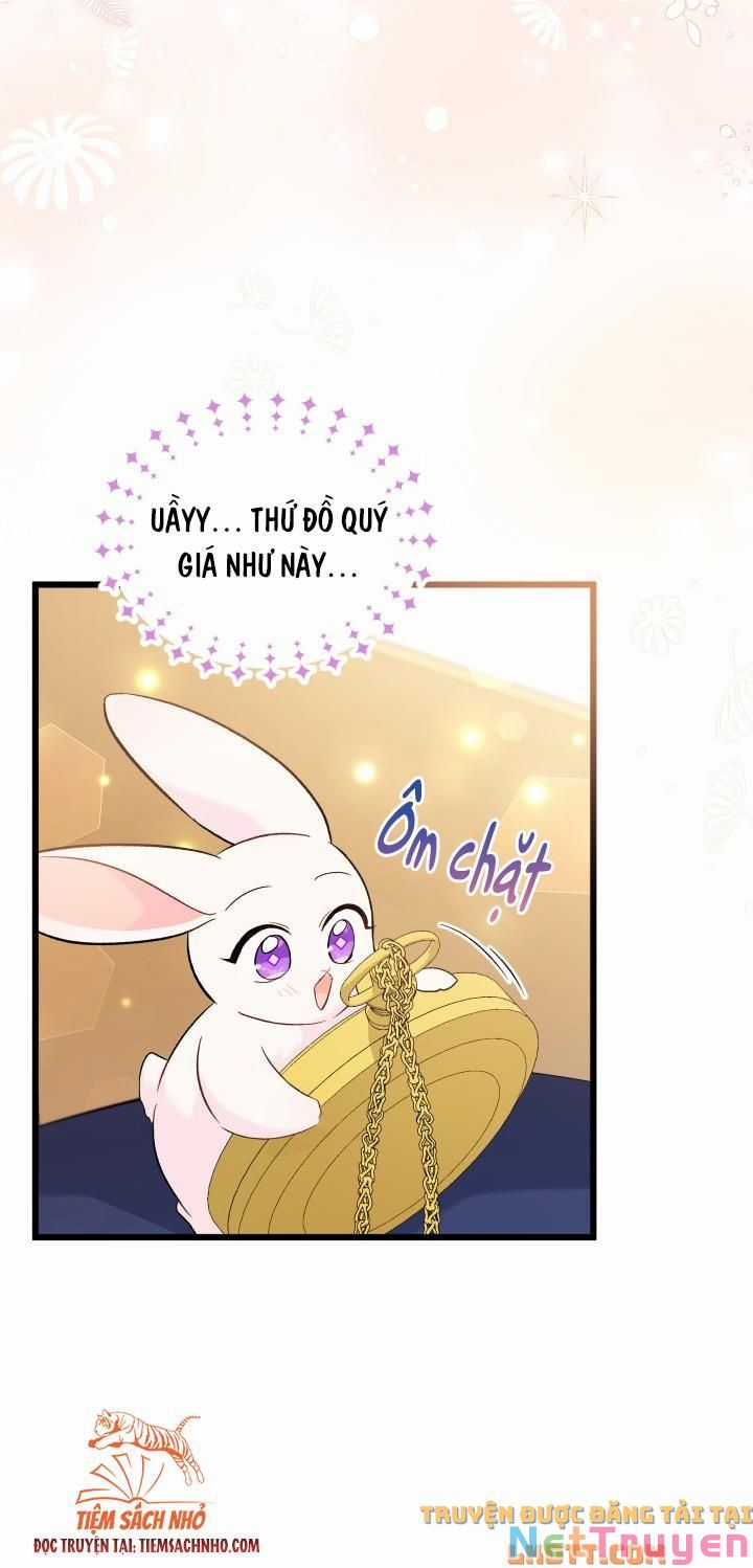 Quan Hệ Cộng Sinh Giữa Hắc Báo Và Bạch Thỏ Chapter 58 trang 51