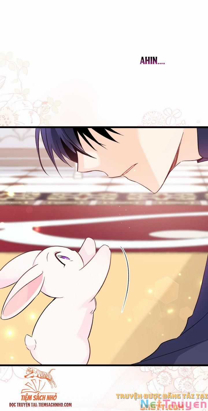 Quan Hệ Cộng Sinh Giữa Hắc Báo Và Bạch Thỏ Chapter 58 trang 66