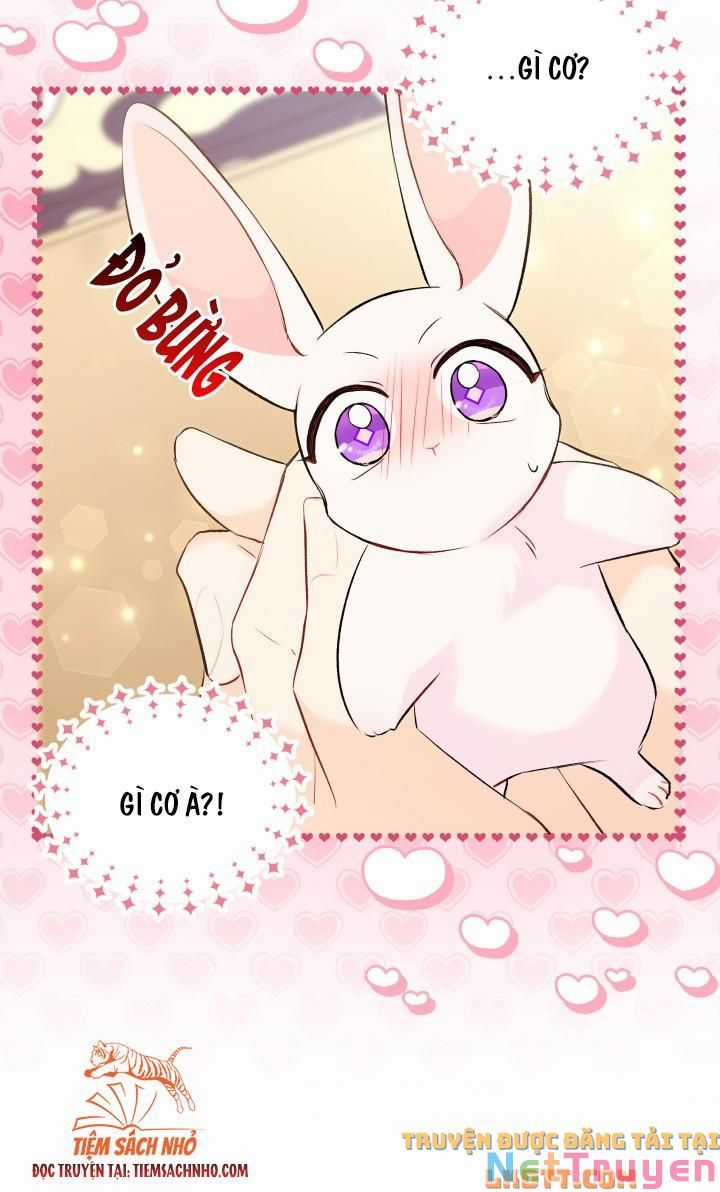 Quan Hệ Cộng Sinh Giữa Hắc Báo Và Bạch Thỏ Chapter 58 trang 71