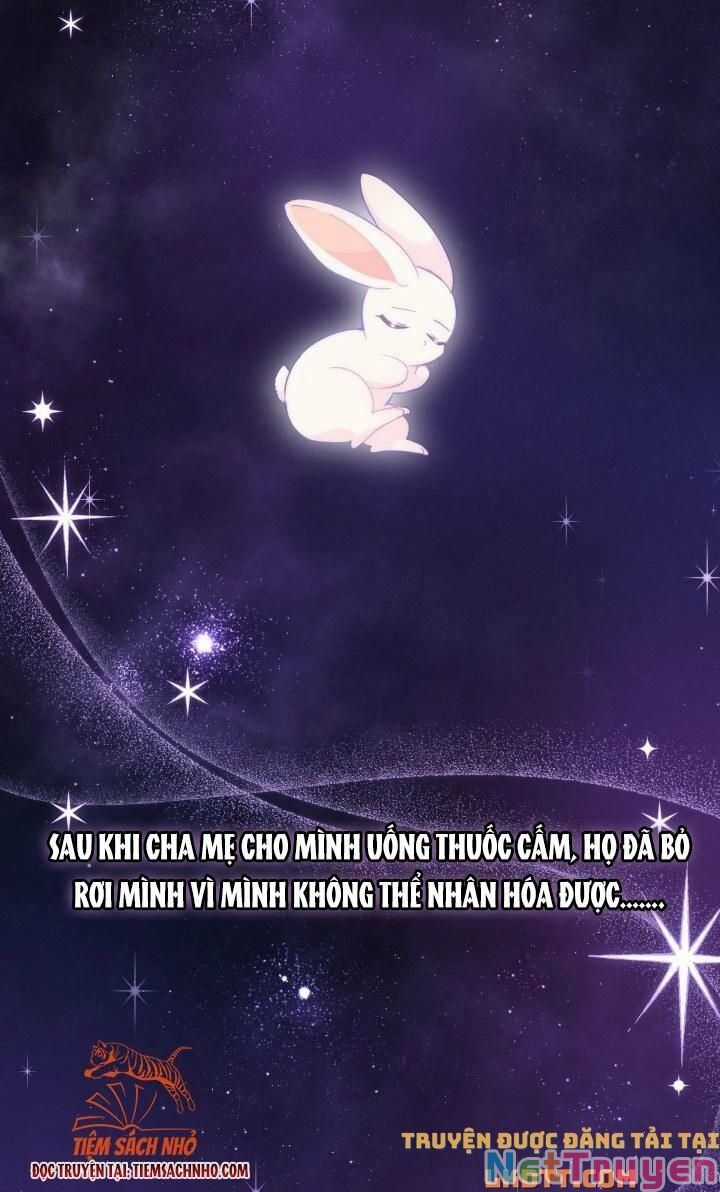 Quan Hệ Cộng Sinh Giữa Hắc Báo Và Bạch Thỏ Chapter 59 trang 2
