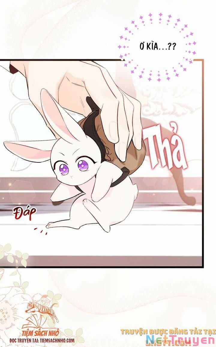 Quan Hệ Cộng Sinh Giữa Hắc Báo Và Bạch Thỏ Chapter 59 trang 21
