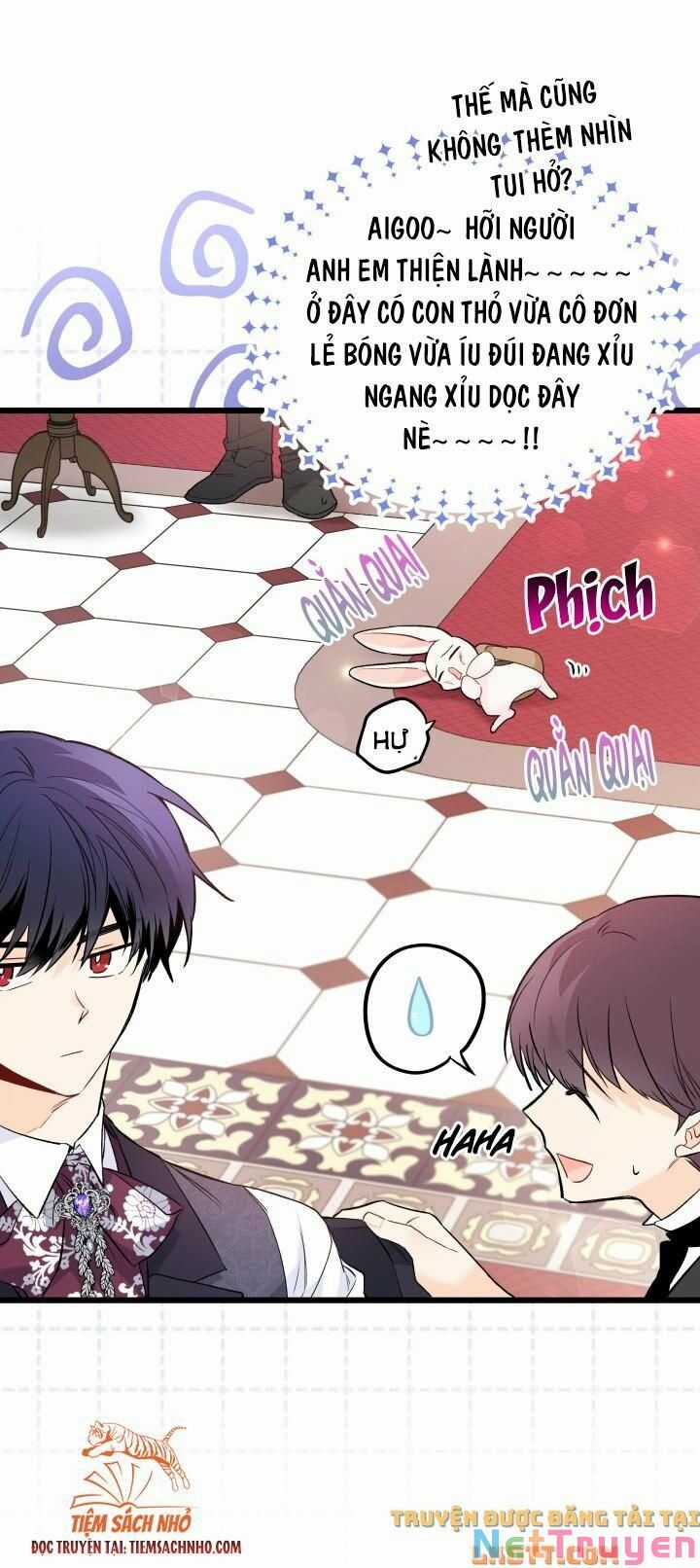 Quan Hệ Cộng Sinh Giữa Hắc Báo Và Bạch Thỏ Chapter 59 trang 25