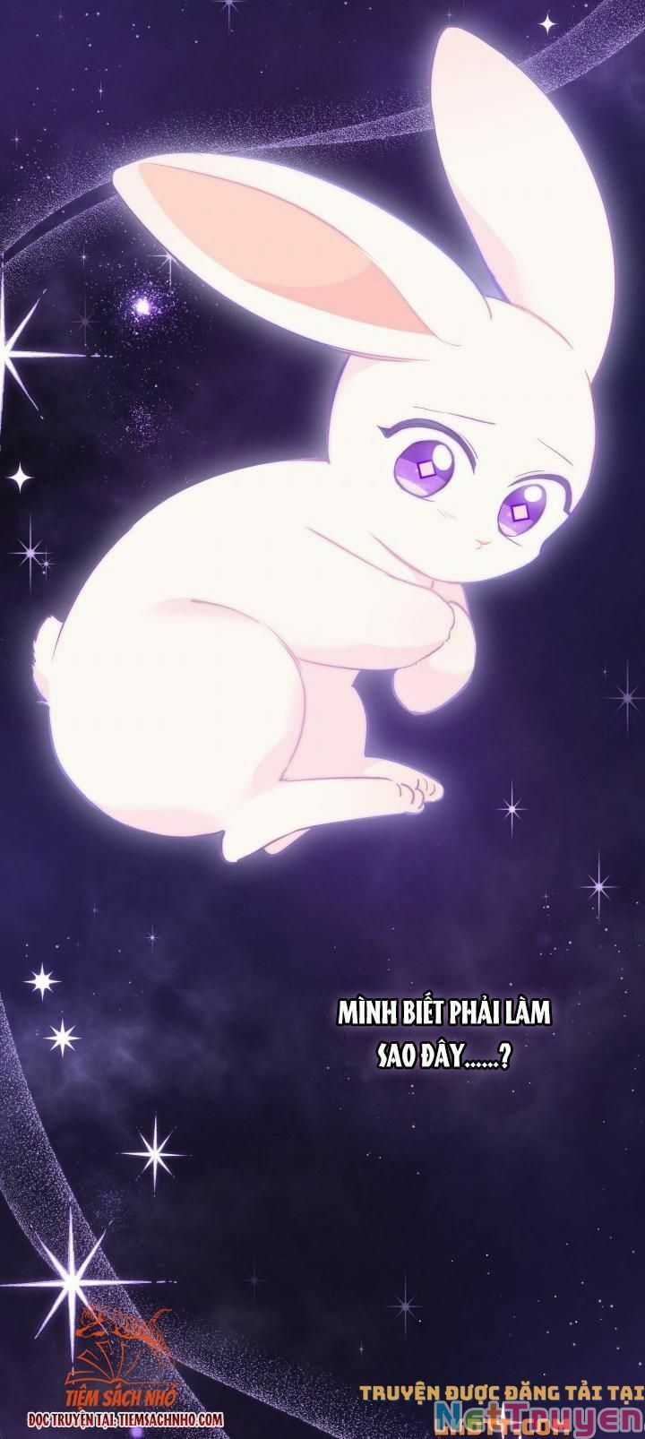 Quan Hệ Cộng Sinh Giữa Hắc Báo Và Bạch Thỏ Chapter 59 trang 3