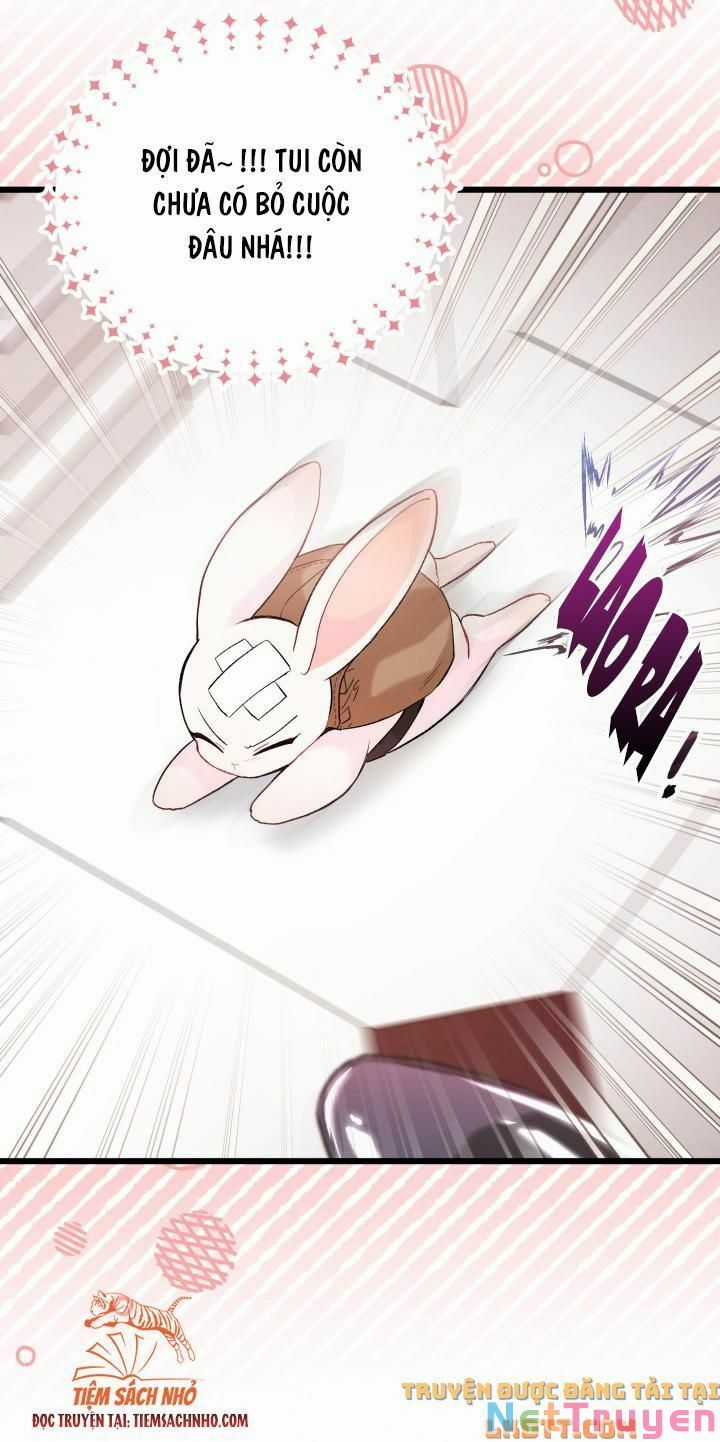 Quan Hệ Cộng Sinh Giữa Hắc Báo Và Bạch Thỏ Chapter 59 trang 42