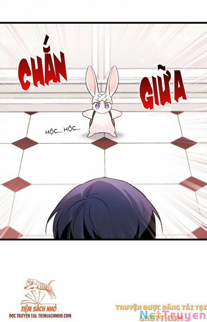 Quan Hệ Cộng Sinh Giữa Hắc Báo Và Bạch Thỏ Chapter 59 trang 43