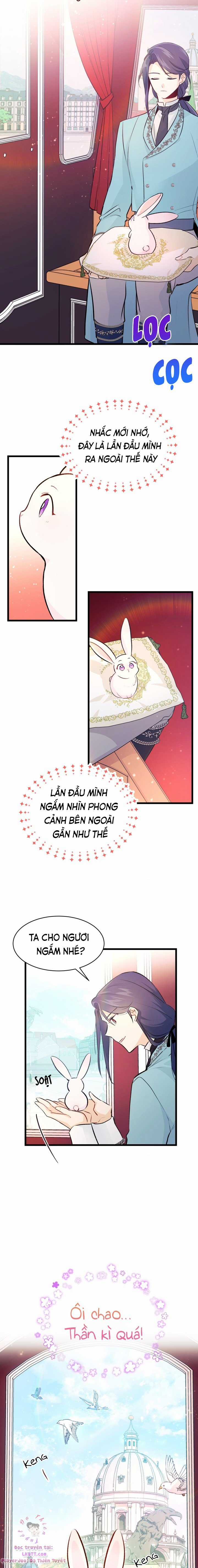 Quan Hệ Cộng Sinh Giữa Hắc Báo Và Bạch Thỏ Chapter 6 trang 16