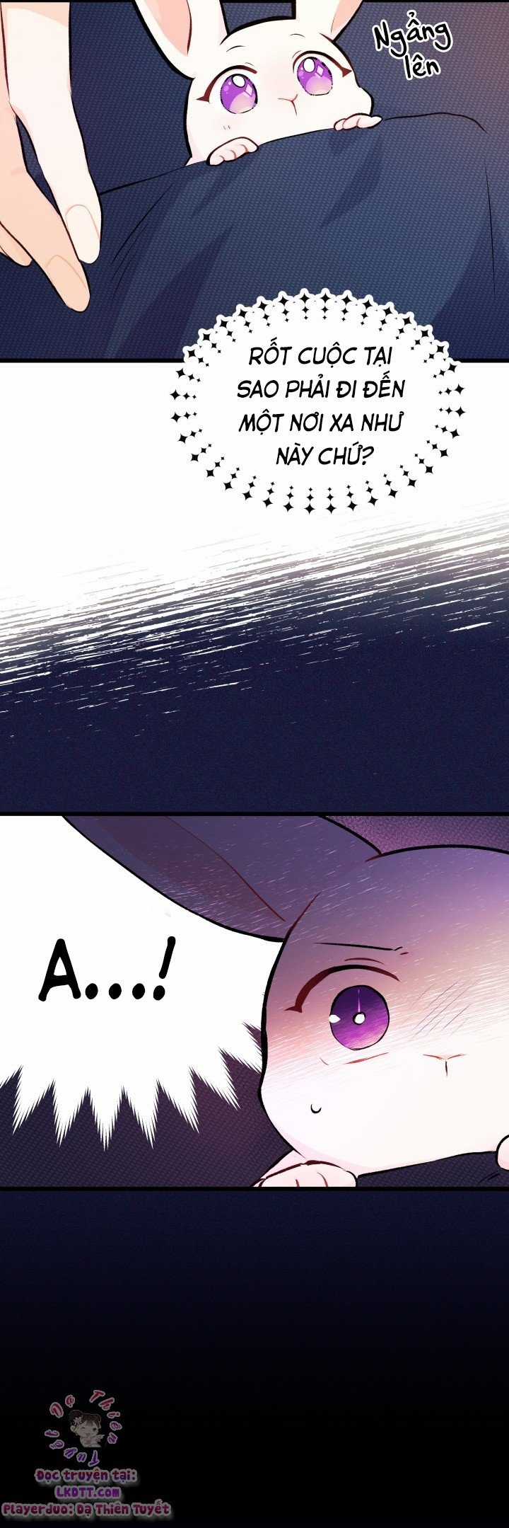 Quan Hệ Cộng Sinh Giữa Hắc Báo Và Bạch Thỏ Chapter 6 trang 21