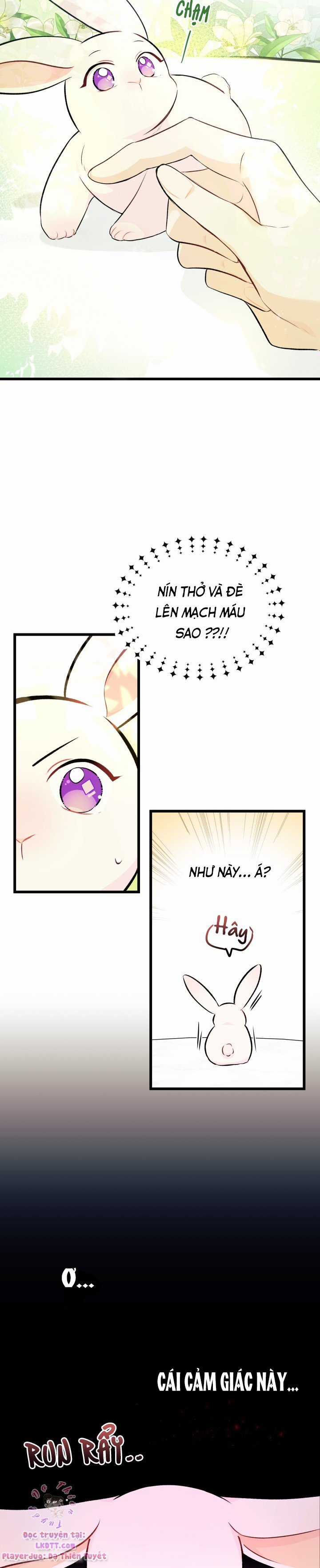 Quan Hệ Cộng Sinh Giữa Hắc Báo Và Bạch Thỏ Chapter 6 trang 7