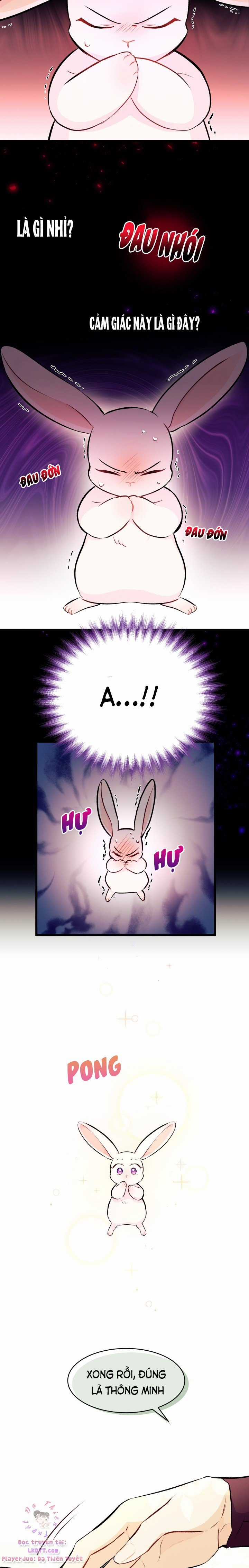 Quan Hệ Cộng Sinh Giữa Hắc Báo Và Bạch Thỏ Chapter 6 trang 8