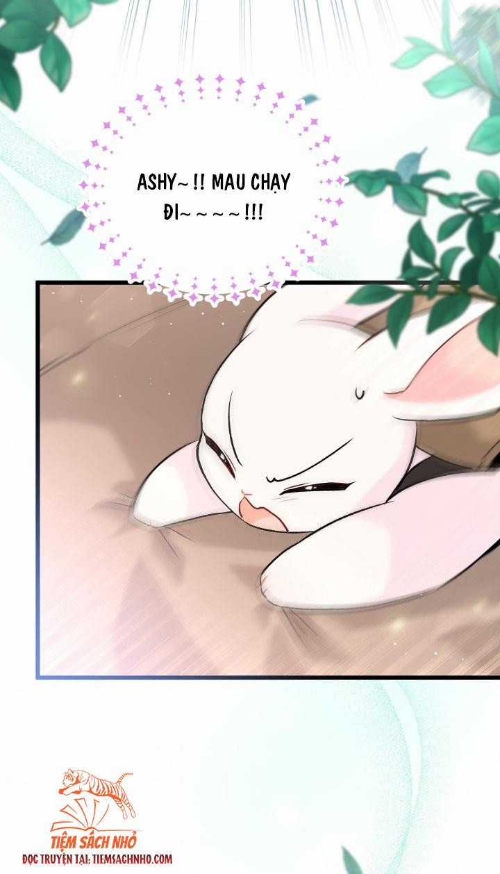 Quan Hệ Cộng Sinh Giữa Hắc Báo Và Bạch Thỏ Chapter 60 trang 28