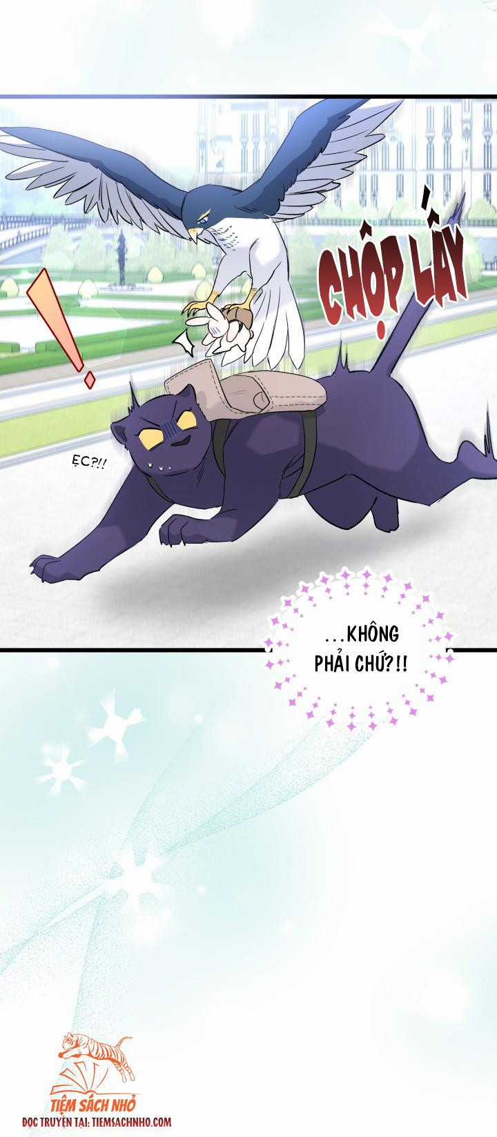 Quan Hệ Cộng Sinh Giữa Hắc Báo Và Bạch Thỏ Chapter 60 trang 34