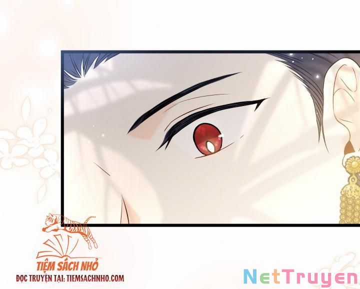 Quan Hệ Cộng Sinh Giữa Hắc Báo Và Bạch Thỏ Chapter 61 trang 12