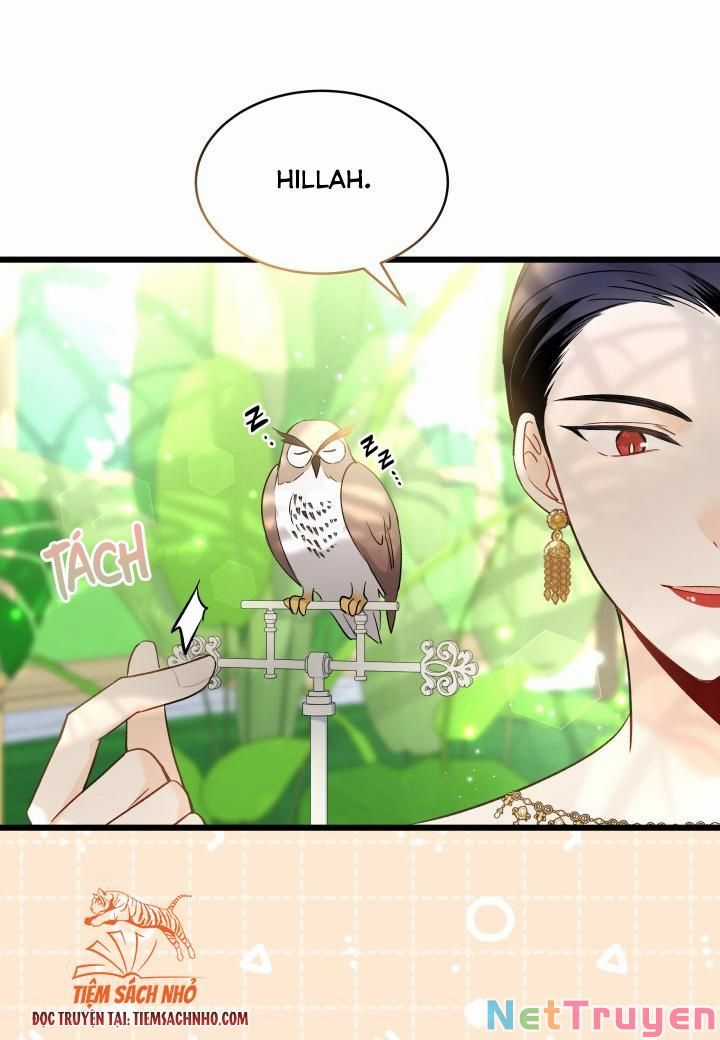 Quan Hệ Cộng Sinh Giữa Hắc Báo Và Bạch Thỏ Chapter 61 trang 14