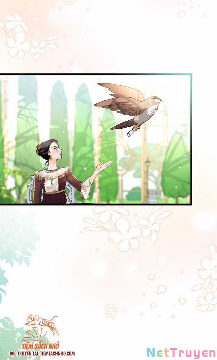 Quan Hệ Cộng Sinh Giữa Hắc Báo Và Bạch Thỏ Chapter 61 trang 16