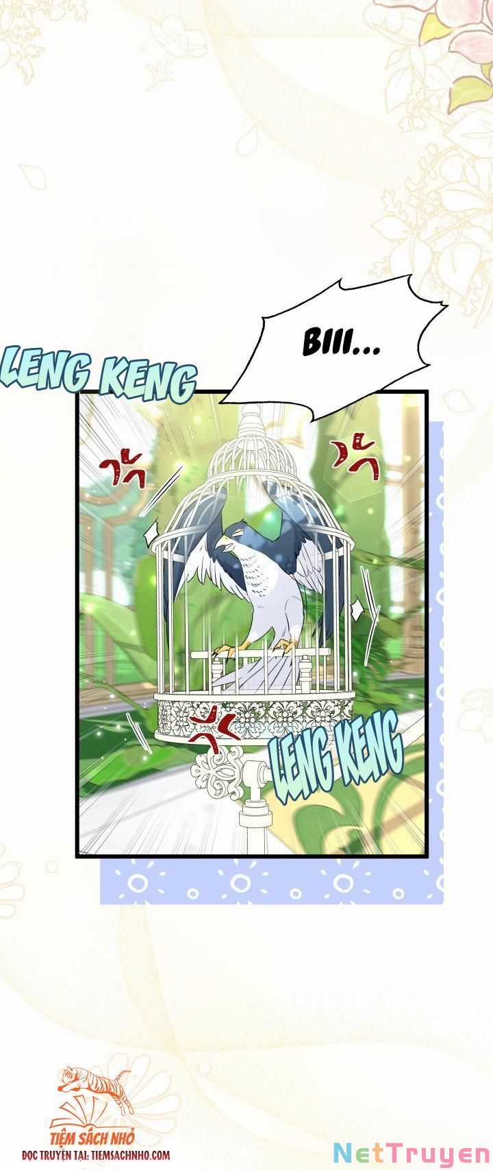 Quan Hệ Cộng Sinh Giữa Hắc Báo Và Bạch Thỏ Chapter 61 trang 2