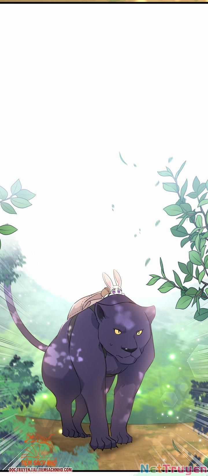 Quan Hệ Cộng Sinh Giữa Hắc Báo Và Bạch Thỏ Chapter 61 trang 25