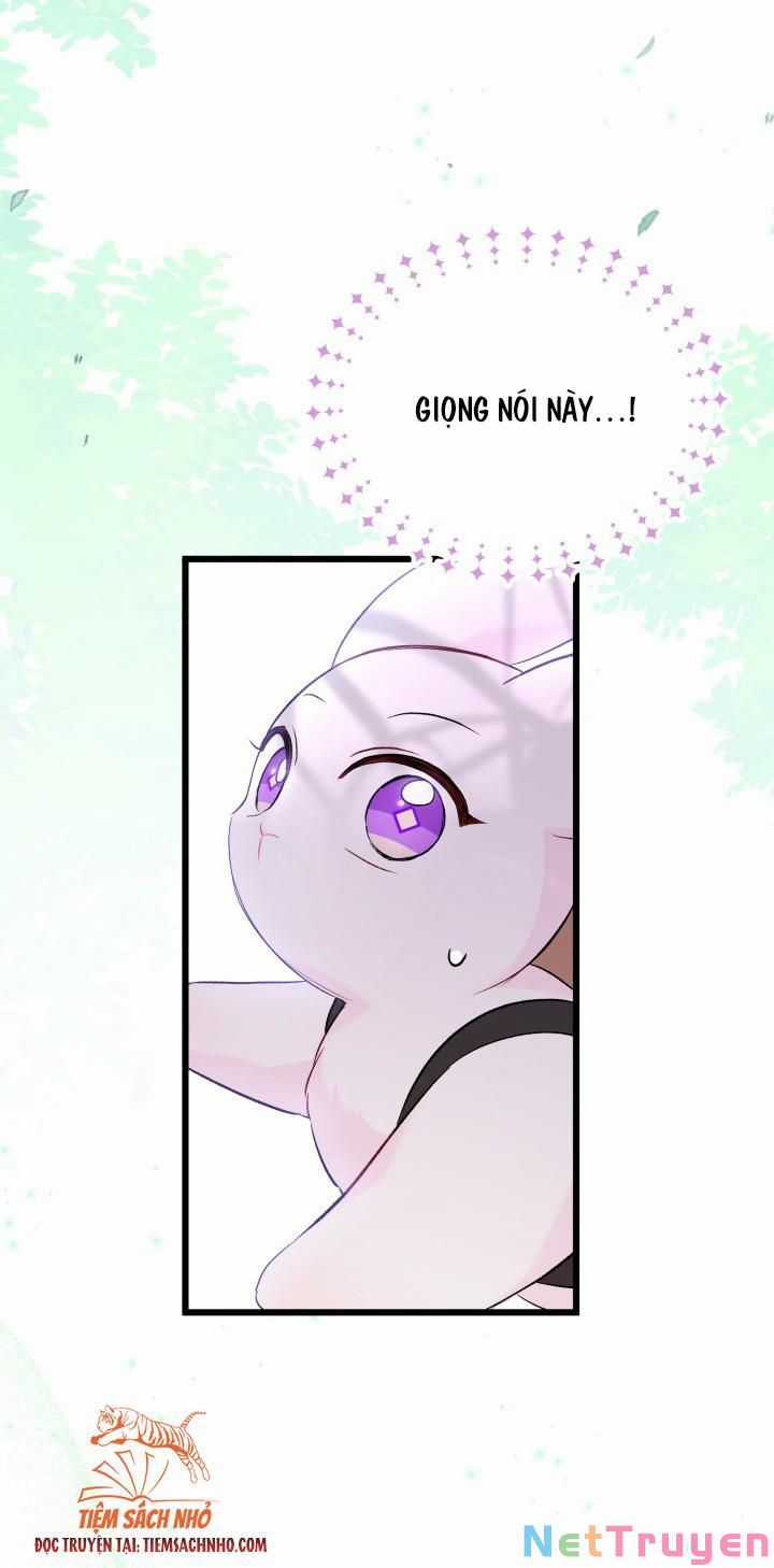 Quan Hệ Cộng Sinh Giữa Hắc Báo Và Bạch Thỏ Chapter 61 trang 34