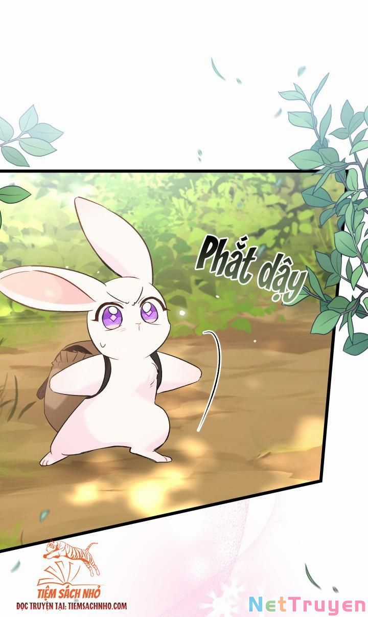 Quan Hệ Cộng Sinh Giữa Hắc Báo Và Bạch Thỏ Chapter 61 trang 42