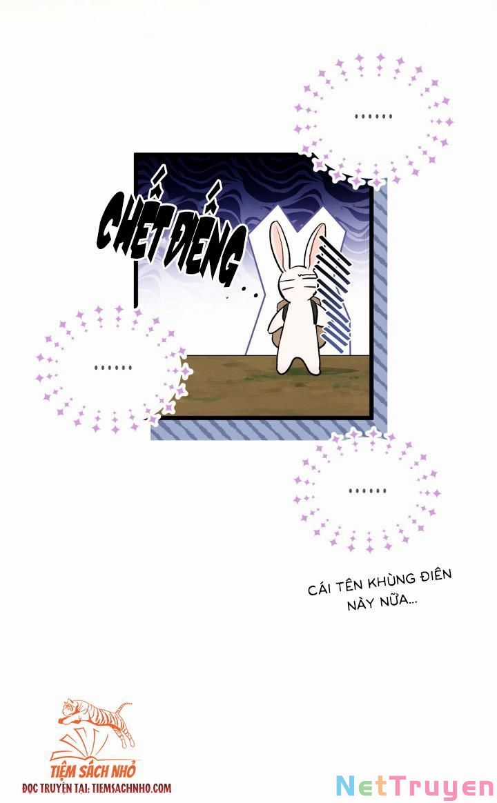 Quan Hệ Cộng Sinh Giữa Hắc Báo Và Bạch Thỏ Chapter 61 trang 47