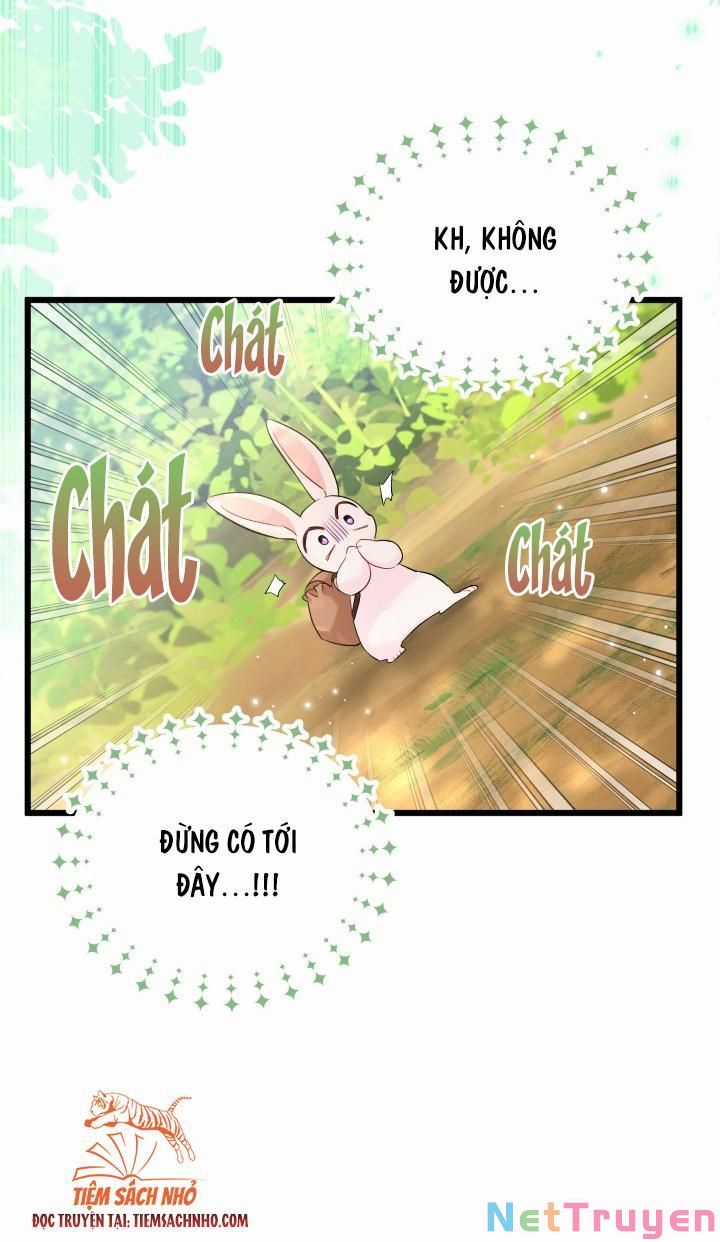 Quan Hệ Cộng Sinh Giữa Hắc Báo Và Bạch Thỏ Chapter 61 trang 63