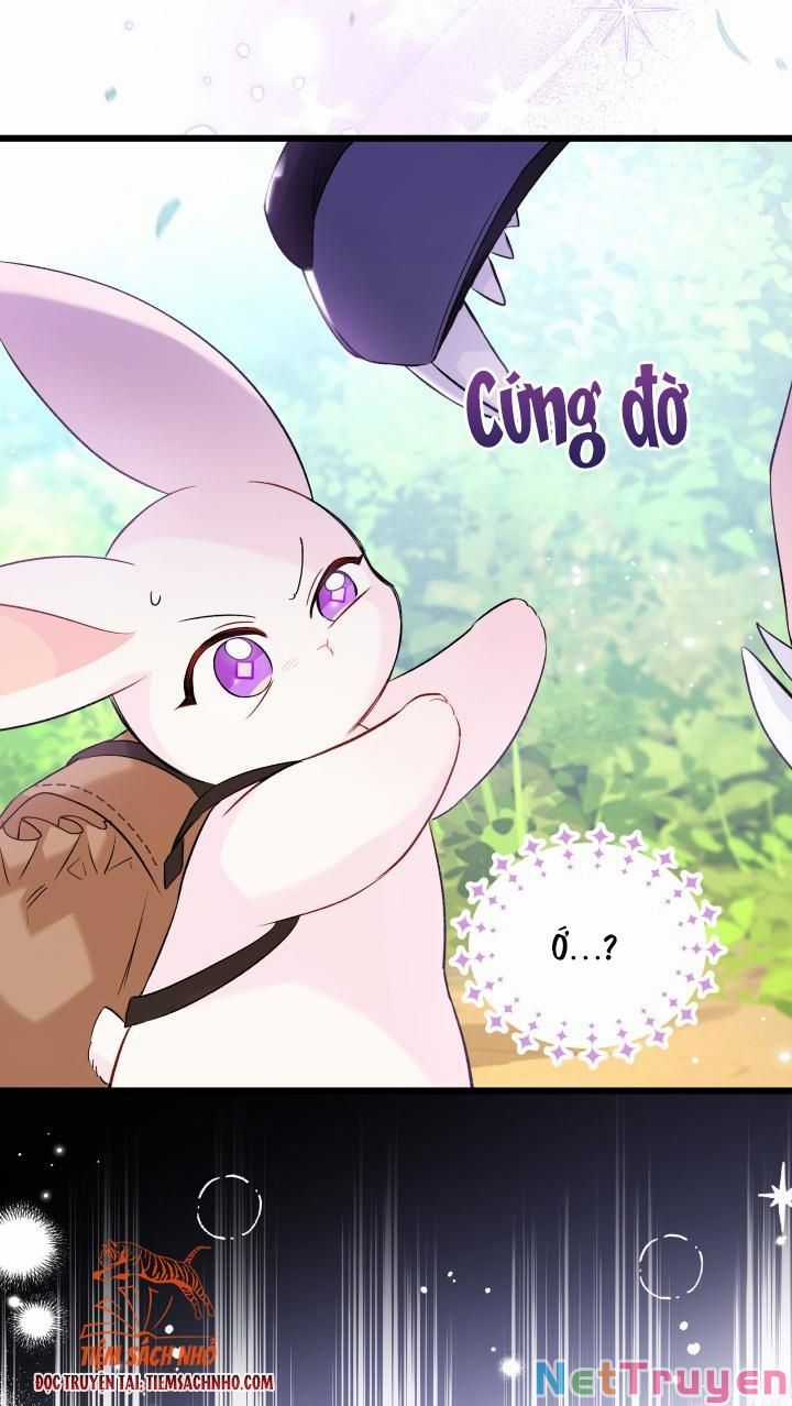 Quan Hệ Cộng Sinh Giữa Hắc Báo Và Bạch Thỏ Chapter 61 trang 66