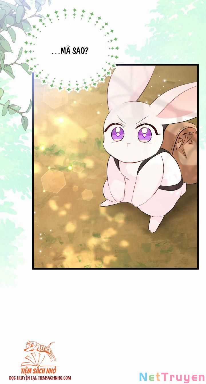 Quan Hệ Cộng Sinh Giữa Hắc Báo Và Bạch Thỏ Chapter 61 trang 72