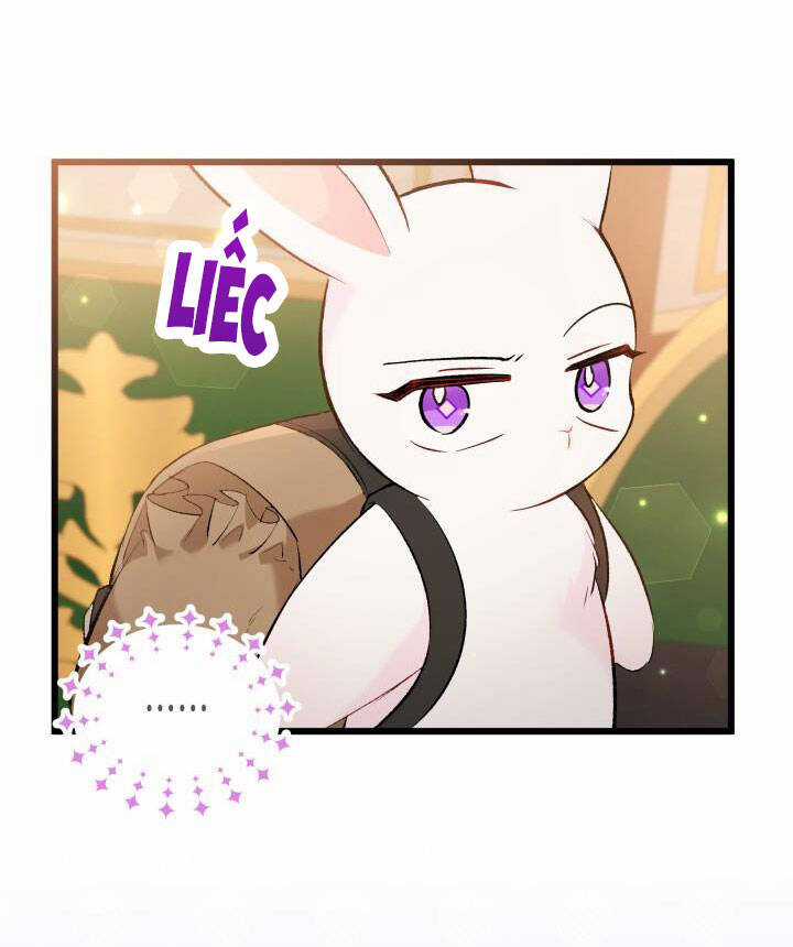 Quan Hệ Cộng Sinh Giữa Hắc Báo Và Bạch Thỏ Chapter 62 trang 8