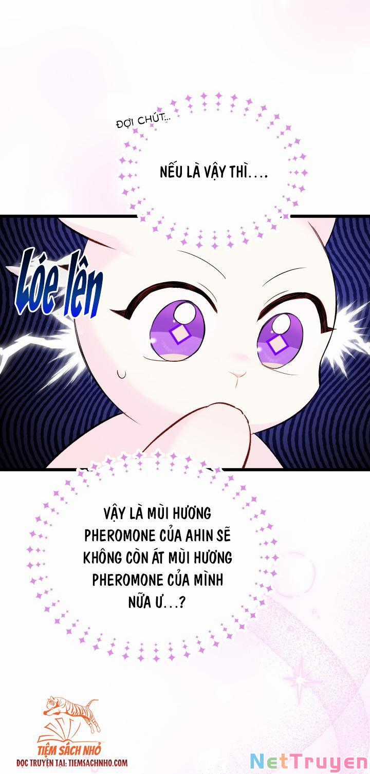 Quan Hệ Cộng Sinh Giữa Hắc Báo Và Bạch Thỏ Chapter 63 trang 11