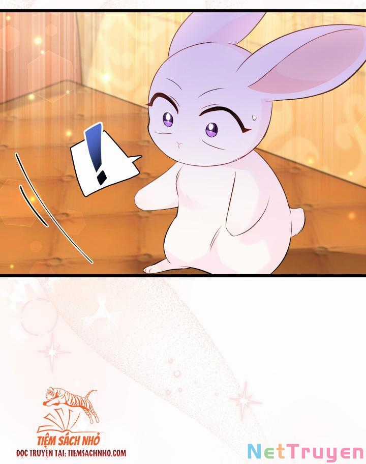 Quan Hệ Cộng Sinh Giữa Hắc Báo Và Bạch Thỏ Chapter 63 trang 24