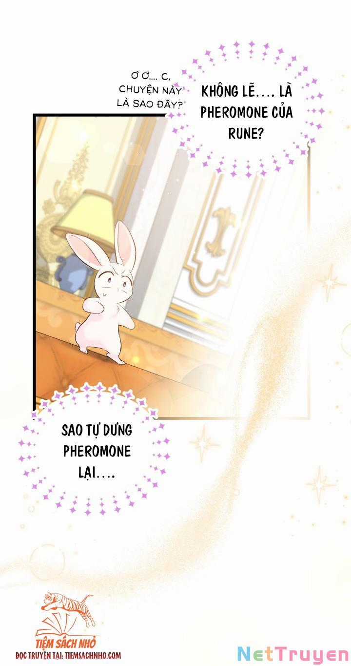 Quan Hệ Cộng Sinh Giữa Hắc Báo Và Bạch Thỏ Chapter 63 trang 26