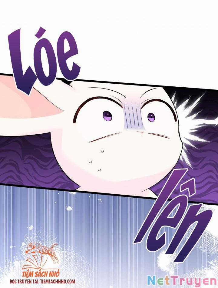 Quan Hệ Cộng Sinh Giữa Hắc Báo Và Bạch Thỏ Chapter 63 trang 29