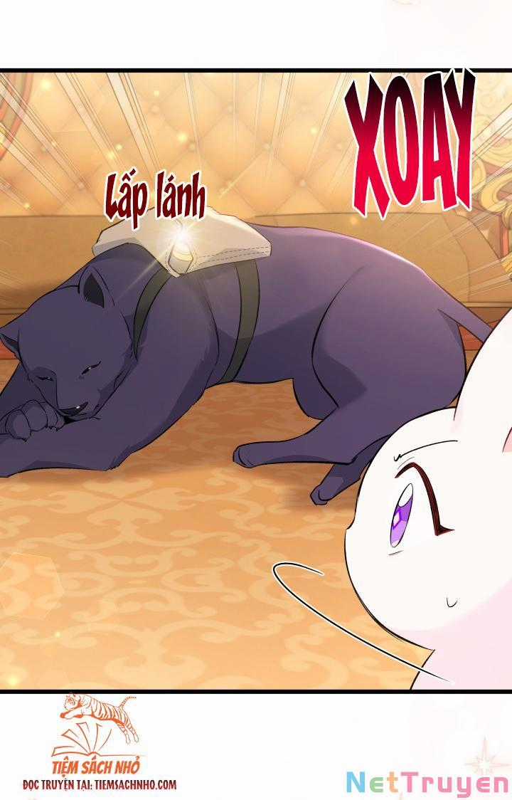Quan Hệ Cộng Sinh Giữa Hắc Báo Và Bạch Thỏ Chapter 63 trang 38