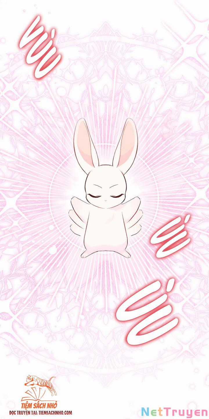 Quan Hệ Cộng Sinh Giữa Hắc Báo Và Bạch Thỏ Chapter 63 trang 4