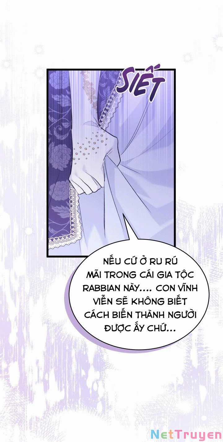 Quan Hệ Cộng Sinh Giữa Hắc Báo Và Bạch Thỏ Chapter 67 trang 48