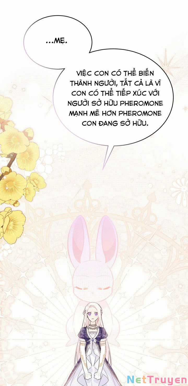 Quan Hệ Cộng Sinh Giữa Hắc Báo Và Bạch Thỏ Chapter 67 trang 50