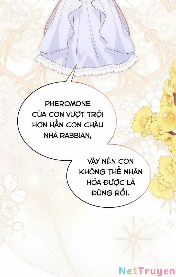 Quan Hệ Cộng Sinh Giữa Hắc Báo Và Bạch Thỏ Chapter 67 trang 51