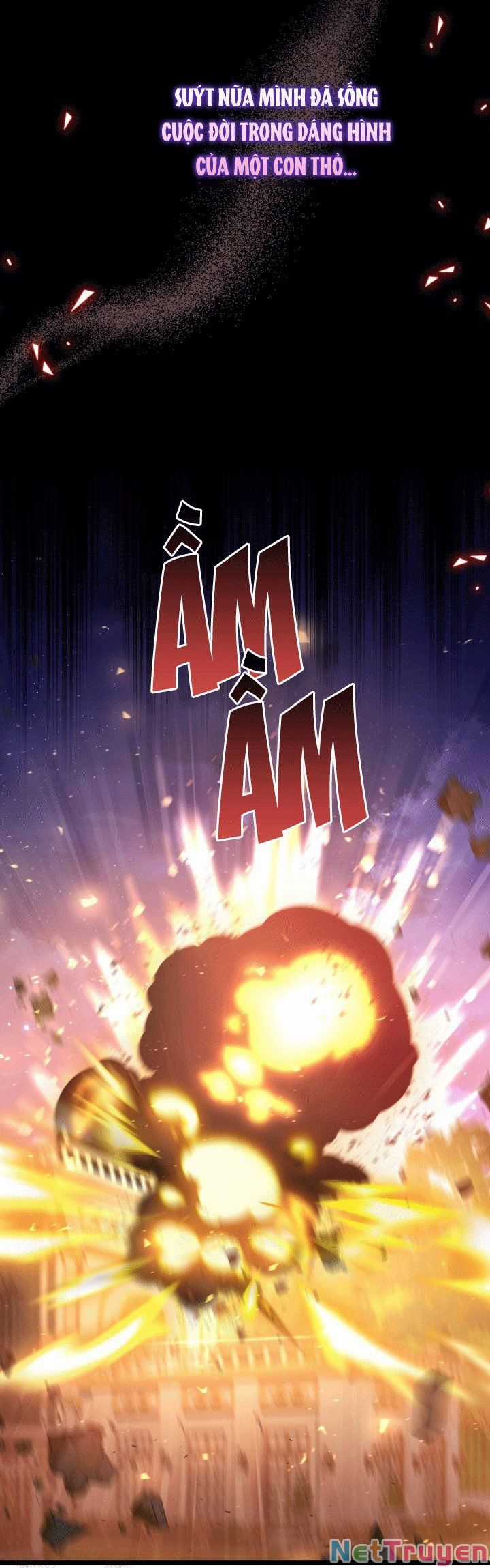 Quan Hệ Cộng Sinh Giữa Hắc Báo Và Bạch Thỏ Chapter 67 trang 60