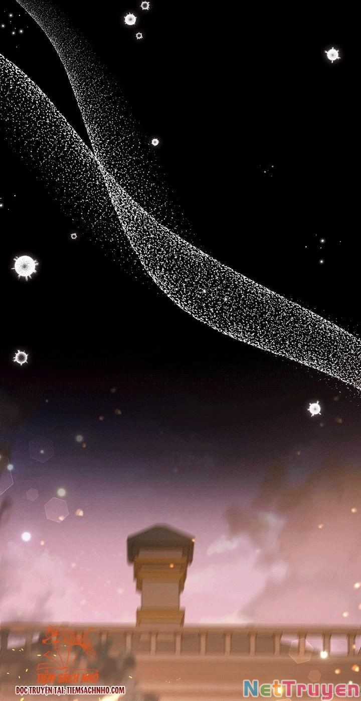 Quan Hệ Cộng Sinh Giữa Hắc Báo Và Bạch Thỏ Chapter 68 trang 13